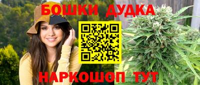 дживик Кингисепп