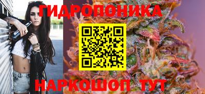дживик Кингисепп