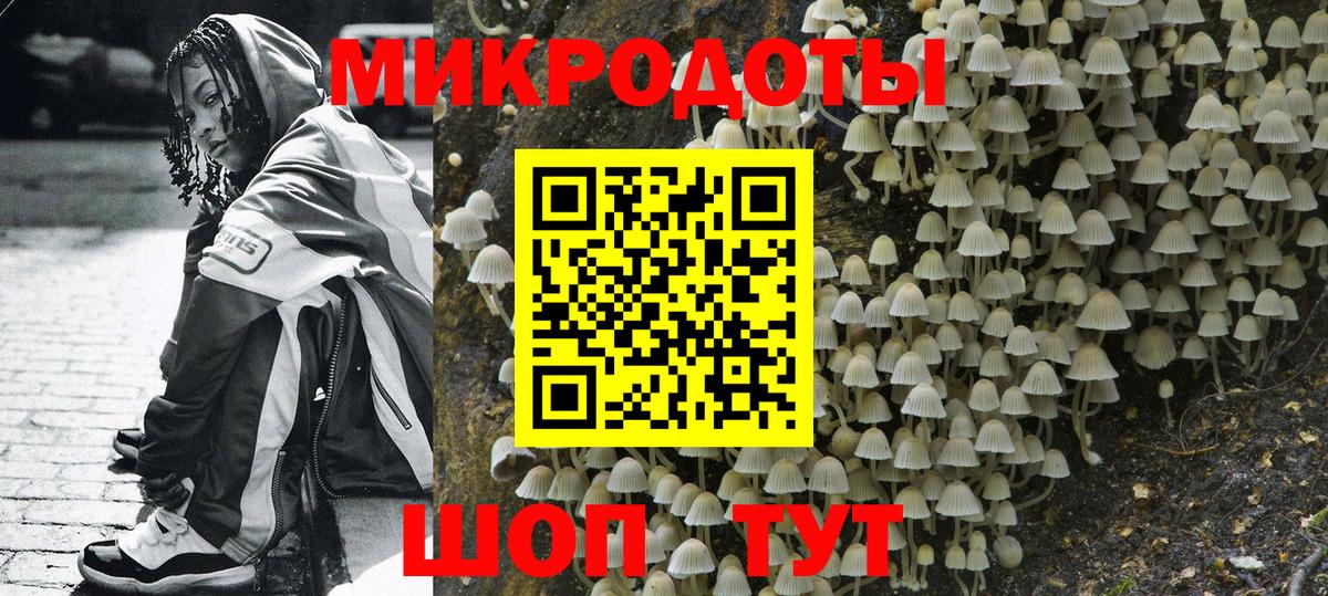Псилоцибиновые грибы Psilocybine cubensis  Вход с VPN  Волгоград 